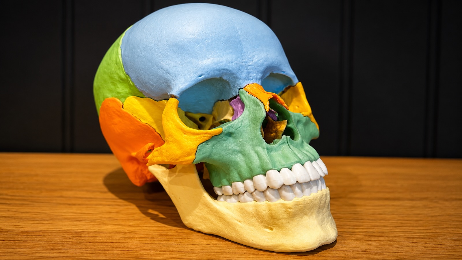Inside the skull - an important part of PDTR